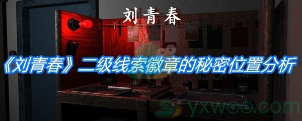 《孙美琪疑案:刘青春》二级线索徽章的秘密位置分析