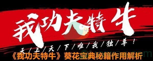 《我功夫特牛》葵花宝典秘籍作用解析