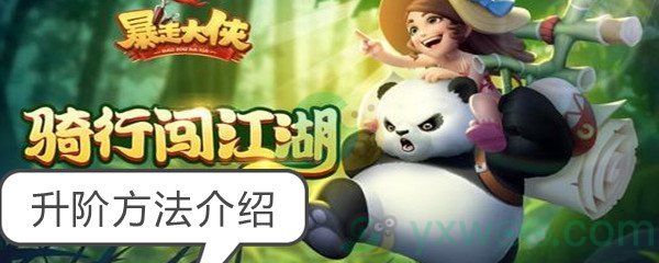 《暴走大侠》升阶方法介绍