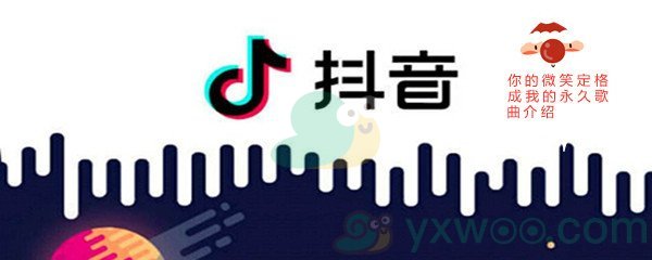 《抖音》你的微笑定格成我的永久歌曲介绍