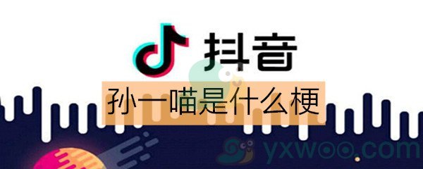 《抖音》孙一喵是什么梗