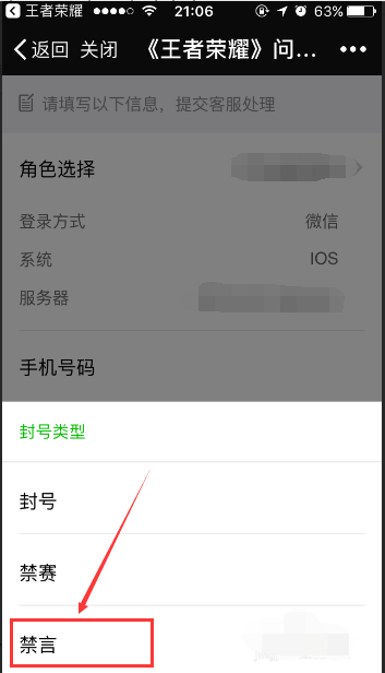 《王者荣耀》被禁言怎么办