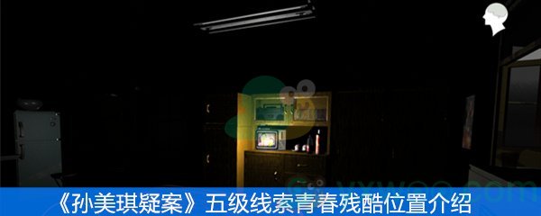 《孙美琪疑案》五级线索青春残酷位置介绍