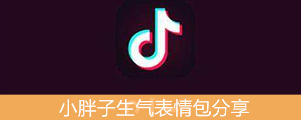 《抖音》小胖子生气表情包分享