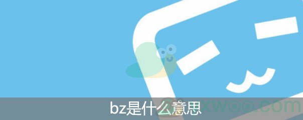 bz是什么意思