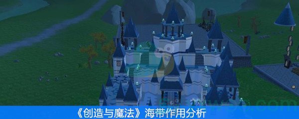 《创造与魔法》海带作用分析