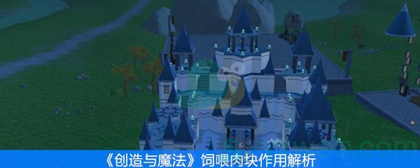 《创造与魔法》饲喂肉块作用解析