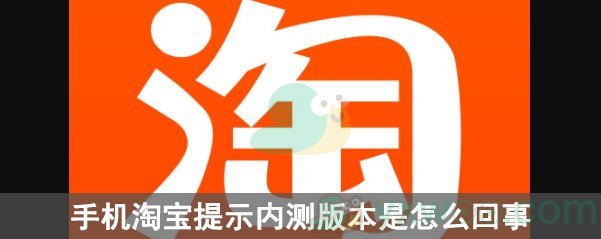 手机淘宝提示内测版本是怎么回事