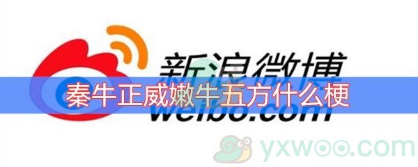 秦牛正威嫩牛五方什么梗