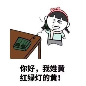 我姓黄,红绿灯的黄是什么意思