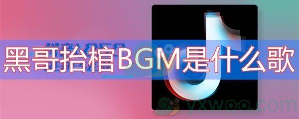 黑哥抬棺BGM是什么歌