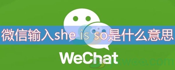 微信输入she is so是什么意思