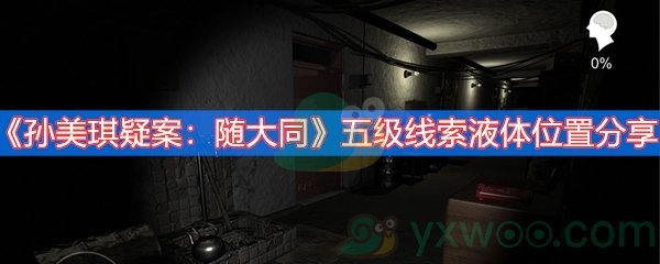 《孙美琪疑案：随大同》五级线索液体位置分享