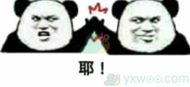 舵手姐妹是什么意思