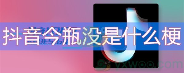 抖音今瓶没是什么梗