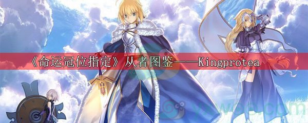 《命运冠位指定》从者图鉴——Kingprotea