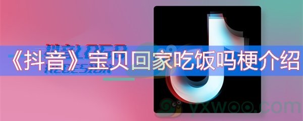 《抖音》宝贝回家吃饭吗梗介绍