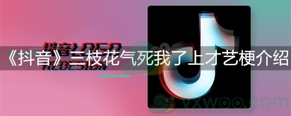 《抖音》三枝花气死我了上才艺梗介绍