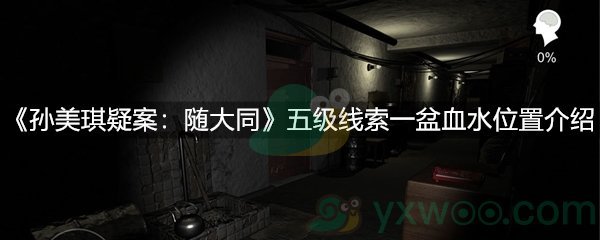 《孙美琪疑案：随大同》五级线索一盆血水位置介绍