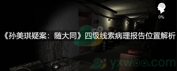 《孙美琪疑案：随大同》四级线索病理报告位置解析