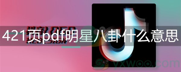 421页pdf明星八卦什么意思