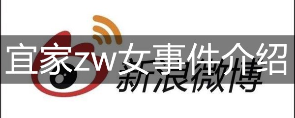 宜家zw女事件介绍