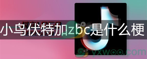 小鸟伏特加zbc是什么梗