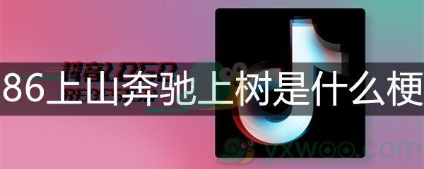 86上山奔驰上树是什么梗