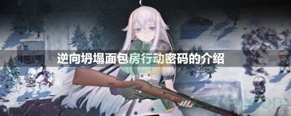 逆向坍塌：面包房行动密码的介绍