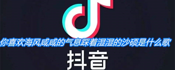 你喜欢海风咸咸的气息踩着湿湿的沙硕是什么歌