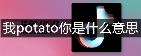 我potato你是什么意思