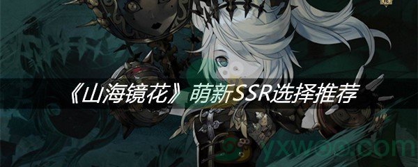 《山海镜花》萌新SSR选择推荐