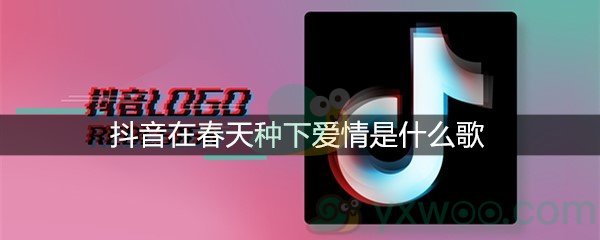 抖音在春天种下爱情是什么歌