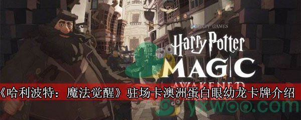 《哈利波特：魔法觉醒》驻场卡澳洲蛋白眼幼龙卡牌介绍