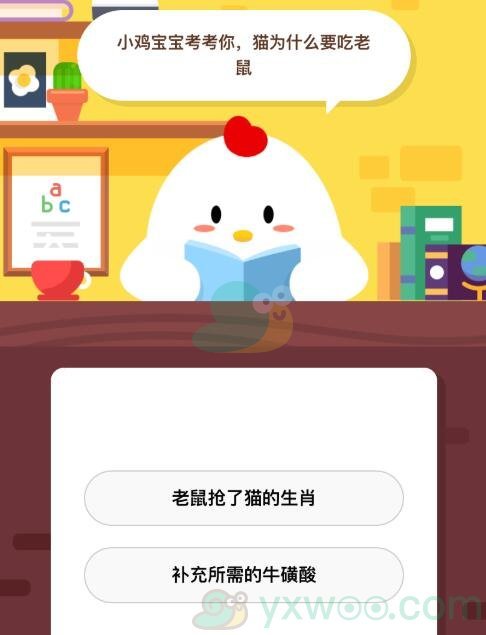 猫为什么要吃老鼠？