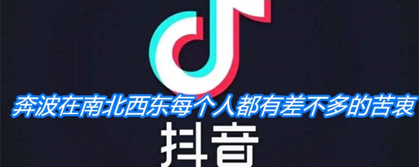 奔波在南北西东每个人都有差不多的苦衷歌曲介绍