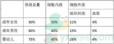 从生理角度说，男性和女性谁更是“水做的”？