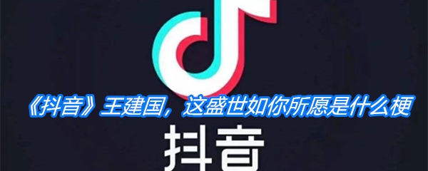 《抖音》王建国，这盛世如你所愿是什么梗