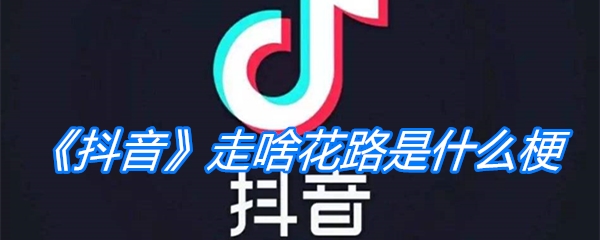 《抖音》走啥花路是什么梗