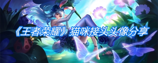 《王者荣耀》猫咪接头头像分享