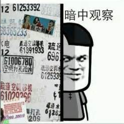 暗中观察是什么意思