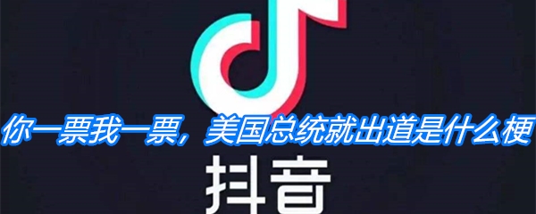 《抖音》你一票我一票，美国总统就出道是什么梗
