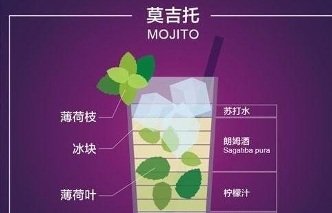 《抖音》mojito是什么意思