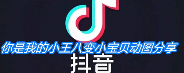 《抖音》你是我的小王八变小宝贝动图分享