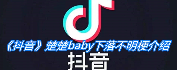 《抖音》楚楚baby下落不明梗介绍