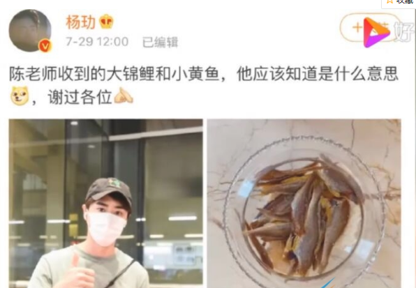 《微博》杨玏陈养鱼梗介绍