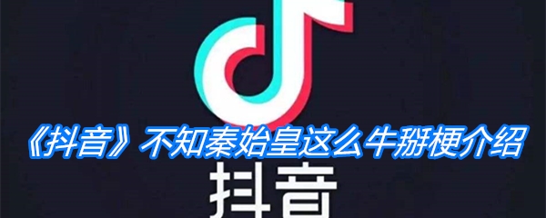 《抖音》不知秦始皇这么牛掰梗介绍
