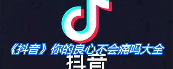 《抖音》你的良心不会痛吗大全