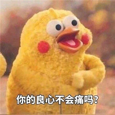 《抖音》你的良心不会痛吗大全