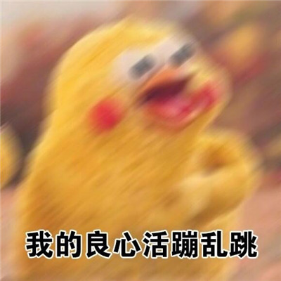 《抖音》你的良心不会痛吗大全